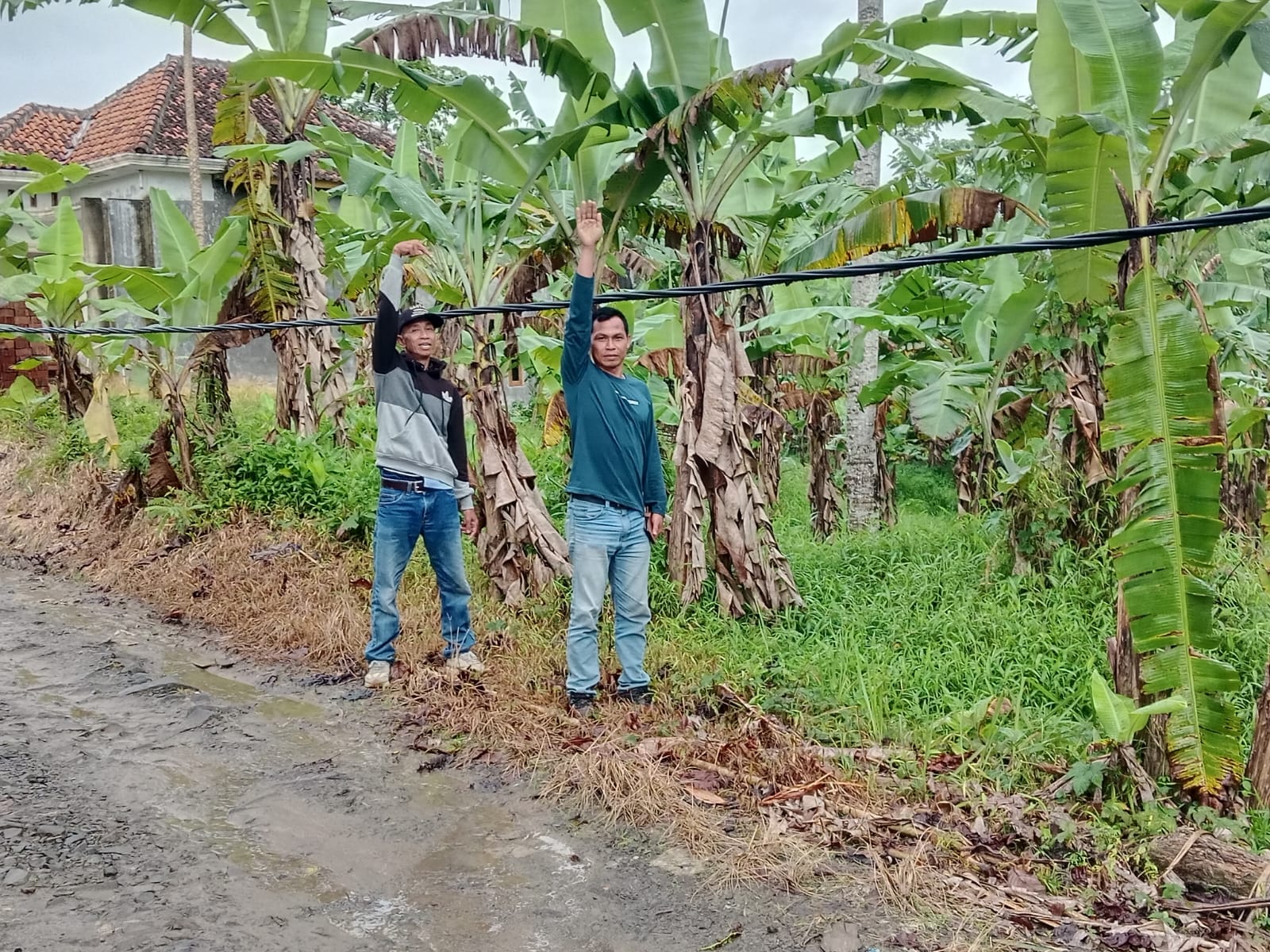 Diduga Kabel Listrik PLN Dibiarkan Bertahun-tahun, Warga Lebak Terancam Bahaya
