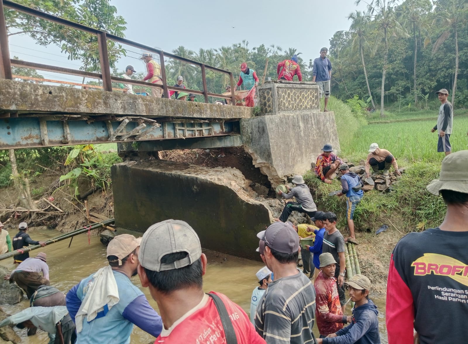 Jembatan Ambruk Dibiarkan, Warga 5 Kampung di Padaherang Gotong Royong Perbaiki Akses Vital