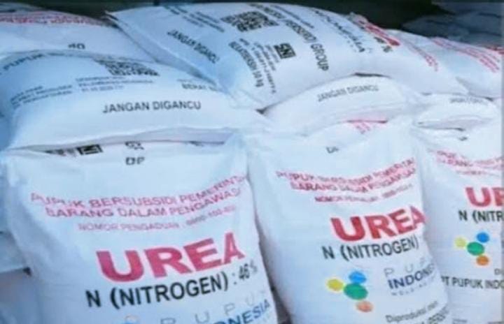 Rusja Manajer Distributor Sinar Malingping Tegaskan Tak Pernah Minta Uang Pengajuan Kios Pupuk Resmi