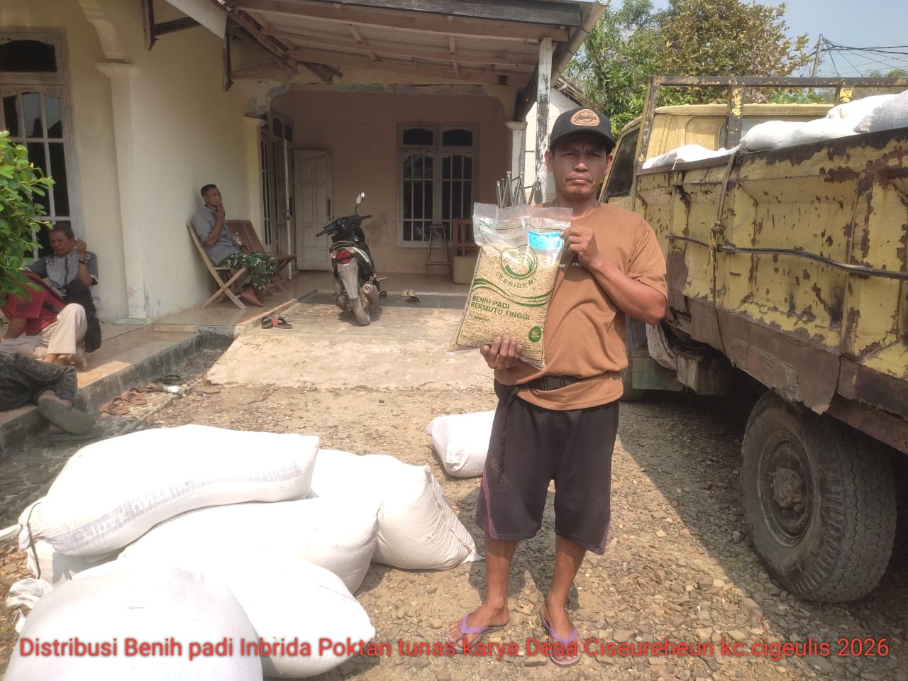 Bantuan Bibit Padi Gogo di Cigeulis Dipertanyakan, Korluh dan Gapoktan Tegaskan Penyaluran Sesuai Ketentuan