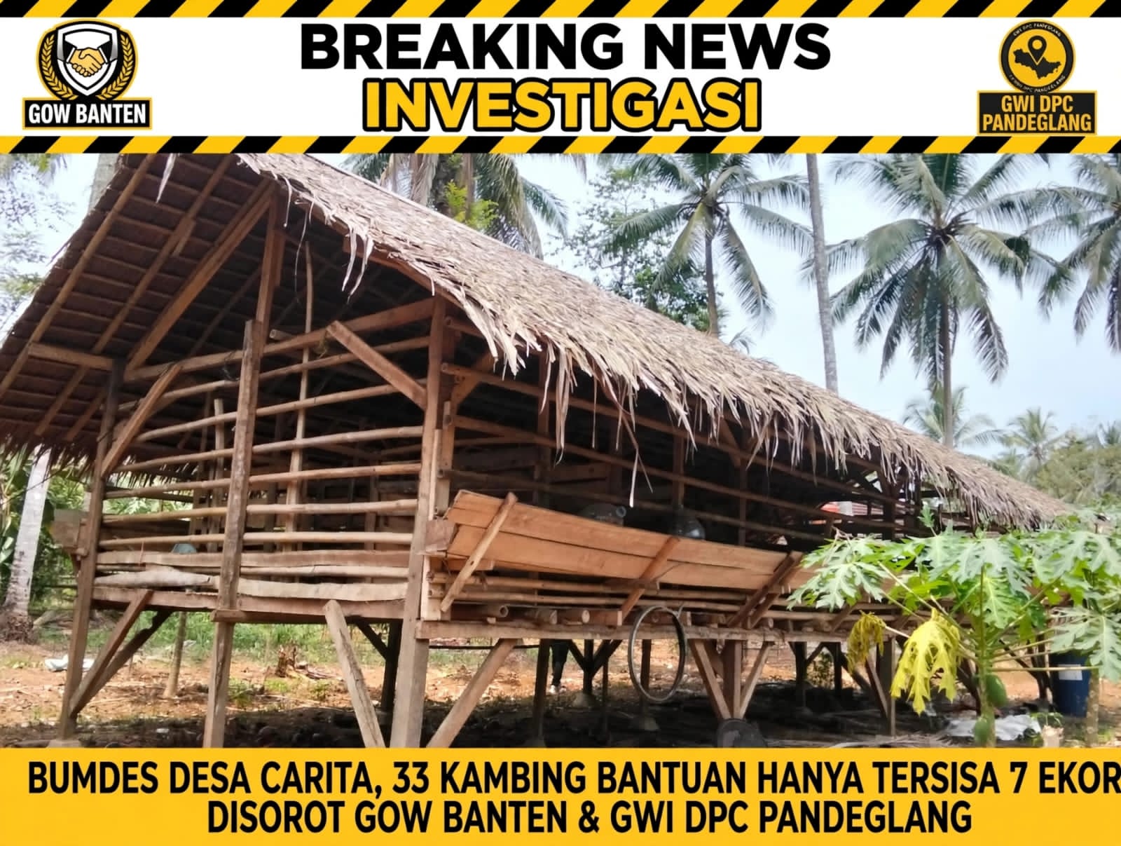 KANDANG BUMDes CIPTA MANDIRI KOSONG, ANGGARAN Rp223 JUTA DIPERTANYAKAN! GOW-BANTEN DESAK INSPEKTORAT TURUN TANGAN, KEBERADAAN ASET KAMBING HARUS DIUNGKAP
